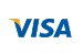 visa icon